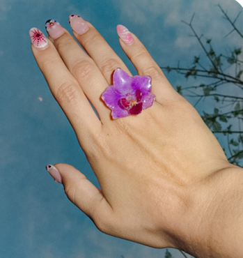 Anillo de orquidea