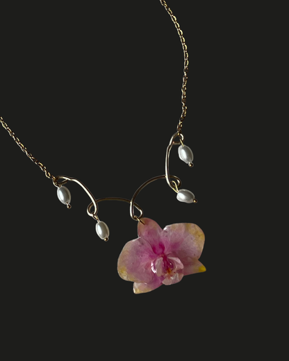 Orquídea de la ternura y alegría