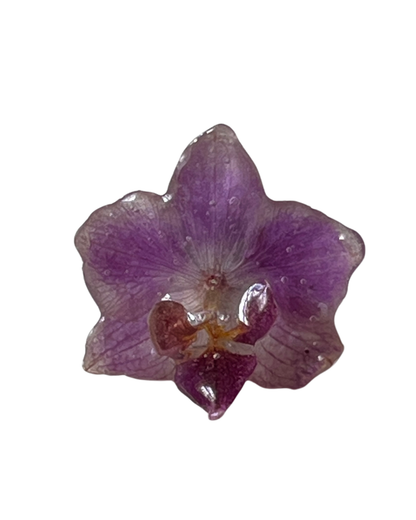 Anillo de orquidea